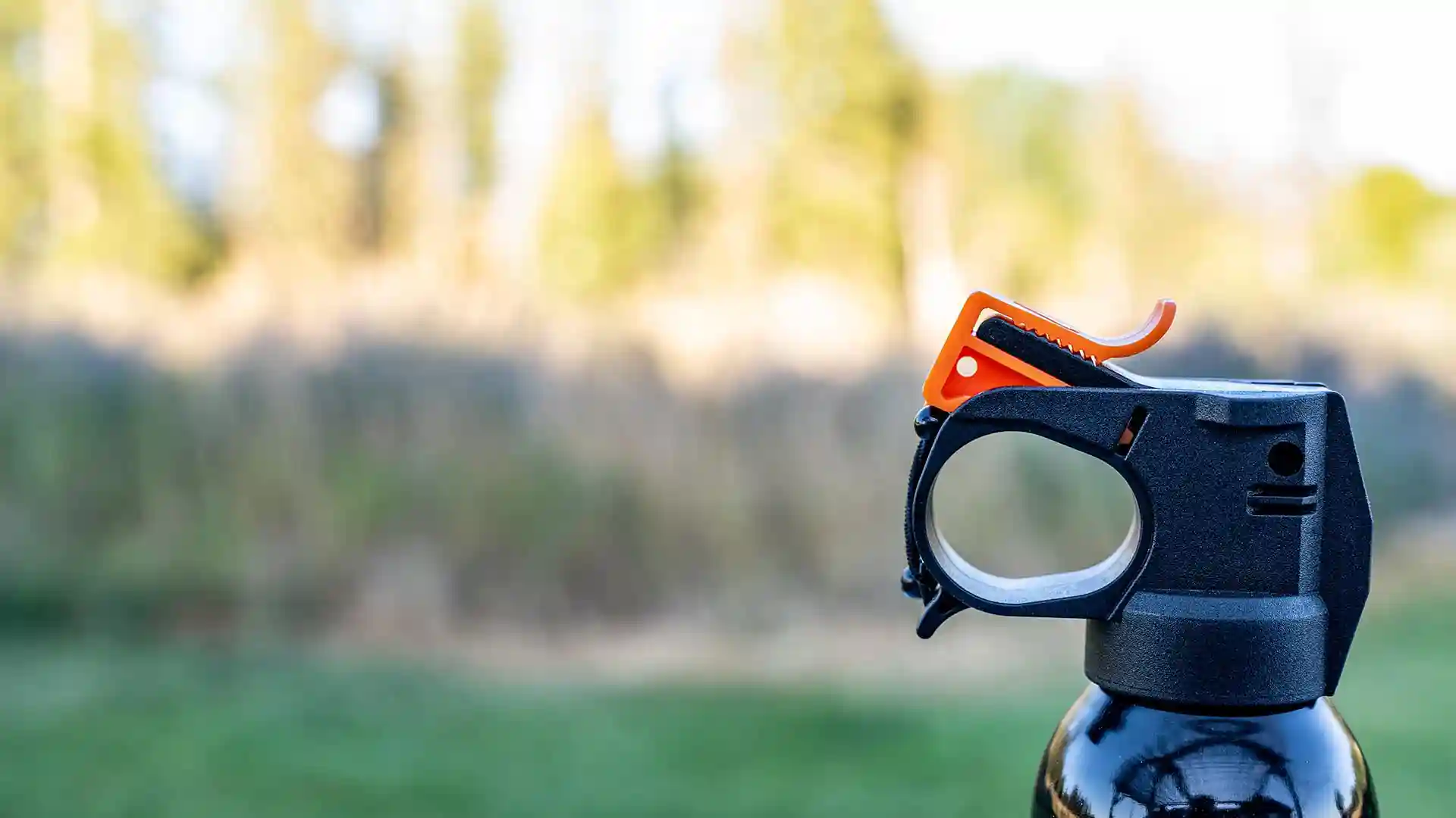 Bear Spray